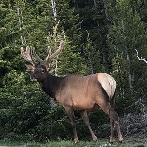 Meet your Posher, Aaron